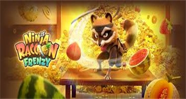 NINJA RACCOONFRENZY